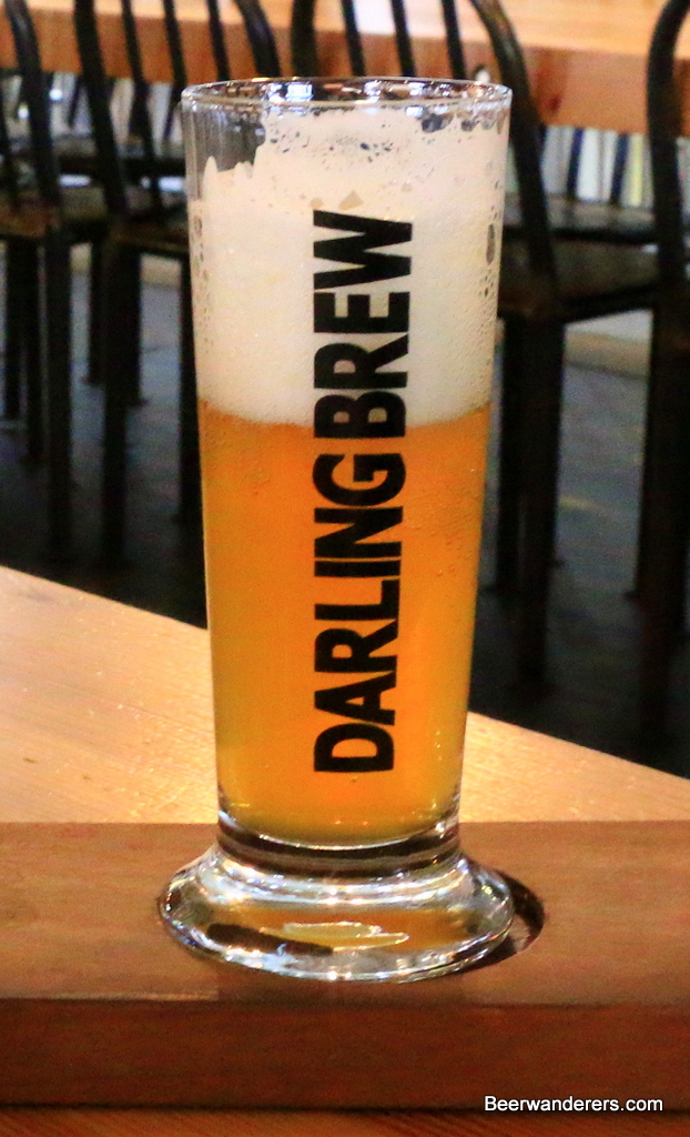 darling brew pilsner
